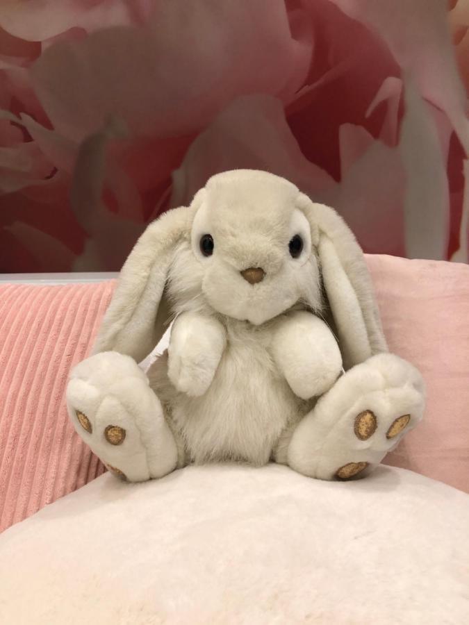 Pan Pan Le Lapin Aubagne-Cassis-Aix En Provence Διαμέρισμα Εξωτερικό φωτογραφία