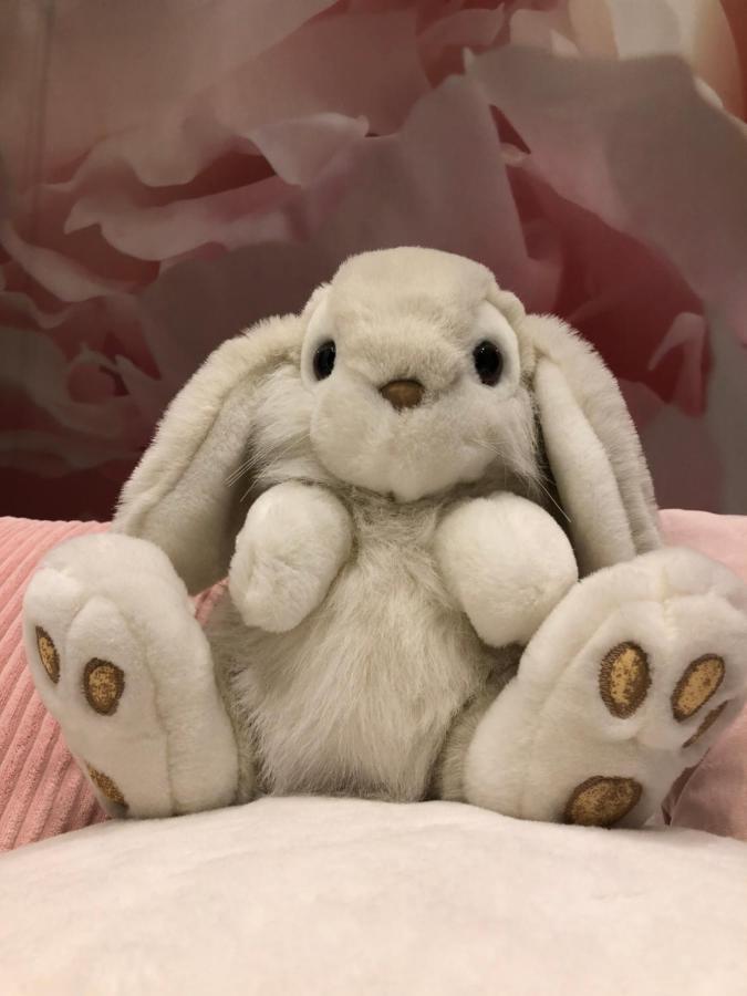 Pan Pan Le Lapin Aubagne-Cassis-Aix En Provence Διαμέρισμα Εξωτερικό φωτογραφία